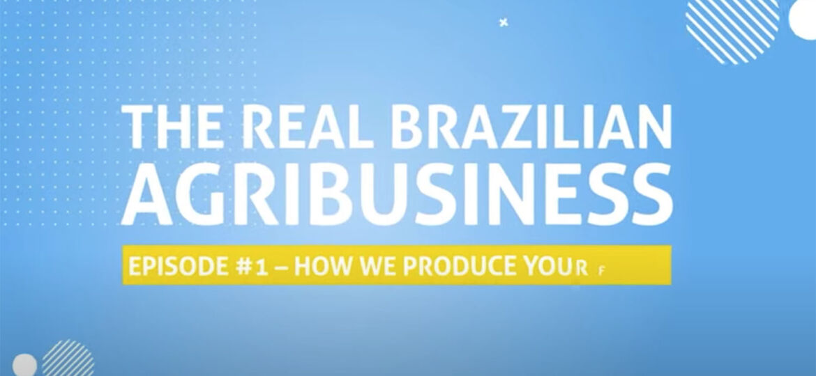 realbrazilian