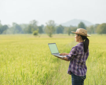 farmer-rice-field-with-laptop_1150-6065